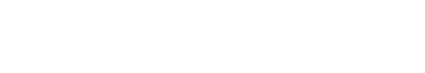 SELECTEAM Logo